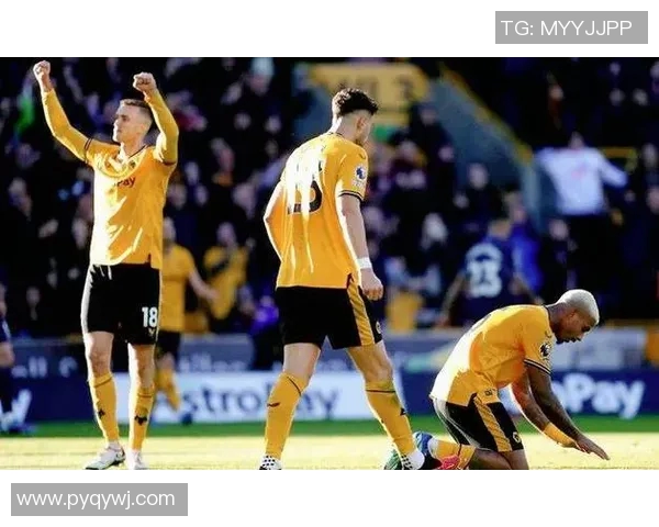 伯恩利与狼队精彩对决回放全程回顾与精彩瞬间分析 伯恩利与狼队精彩对决回放全程回顾与精彩瞬间分析